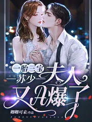 《一胎三宝：苏少，夫人又A爆了！》小说封面