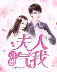 《时莜萱盛翰钰》小说封面