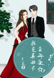 《我是真的不会再爱你》小说封面