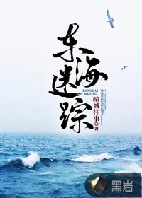 《东海迷踪》小说封面
