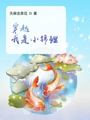 《穿越我是小锦鲤》小说封面