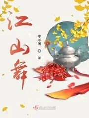 《江山舞》小说封面