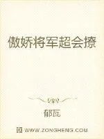 《傲娇将军超会撩》小说封面
