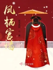 《凤栖宫墙》小说封面