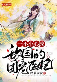 《一不小心成敌国的团宠医妃》小说封面