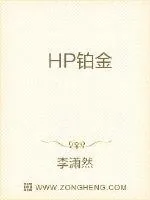 《HP铂金》小说封面