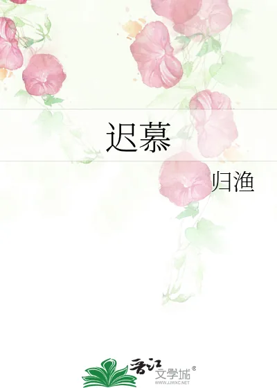 《迟慕》小说封面