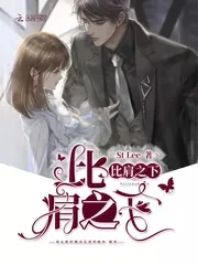 《比肩之下》小说封面