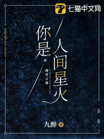 《你是人间星火》小说封面