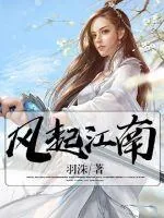 《风起江南》小说封面