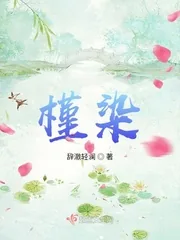 《槿染》小说封面