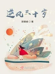 《逆风三十岁》小说封面