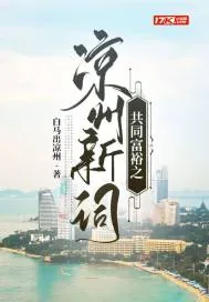 《共同富裕之凉州新词》小说封面