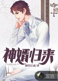 《神婿归来》小说封面