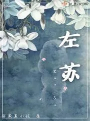 《左苏》小说封面
