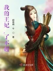 《我的王妃，了不起！》小说封面