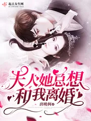 《夫人她总想和我离婚》小说封面