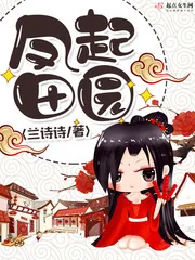 《凤起田园》小说封面