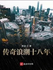 《传奇浪潮十八年》小说封面
