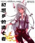 《幻想乡的流亡者》小说封面