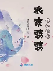 《农家婆婆的致富路》小说封面