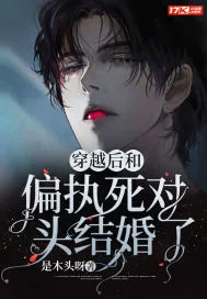 《穿越后和偏执死对头结婚了》小说封面