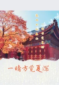 《一晴方觉夏深。》小说封面