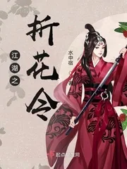 《江湖之折花令》小说封面