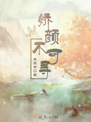 《娇颜不可寻》小说封面