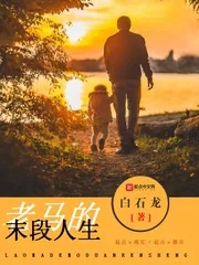《老马的末段人生》小说封面