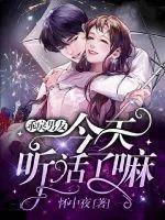 《乖戾男友今天听话了嘛》小说封面