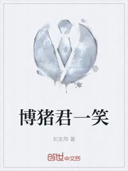 《博猪君一笑》小说封面