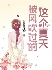 《被风吹过的这个夏天》小说封面