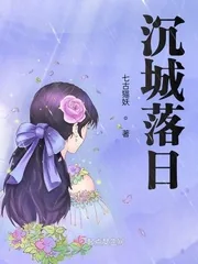 《沉城落日》小说封面
