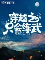 《穿越之只会练武》小说封面