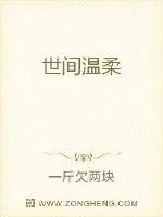 《世间温柔》小说封面