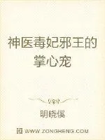 《神医毒妃邪王的掌心宠》小说封面
