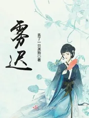 《雾迟》小说封面