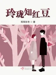 《玲珑知红豆》小说封面