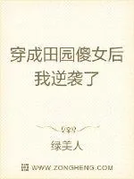 《穿成田园傻女后我逆袭了》小说封面