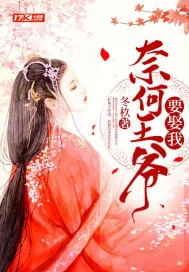 《奈何王爷要娶我》小说封面