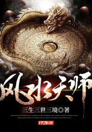 《风水天师》小说封面