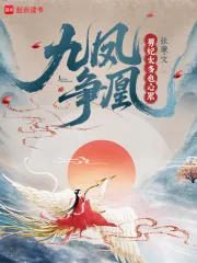 《九凤争凰：男妃太多也心累》小说封面