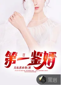 《第一鉴婿》小说封面
