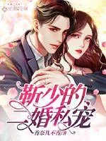 《靳少的二婚私宠》小说封面