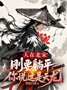 《人在北宋，刚要躺平你说这是天龙》小说封面