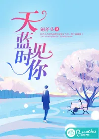 《天蓝时见你》小说封面