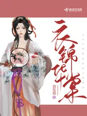 《衣锦华棠》小说封面
