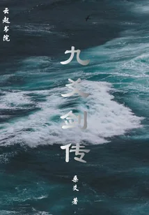 《九爻剑传》小说封面
