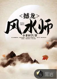 《撼龙风水师》小说封面